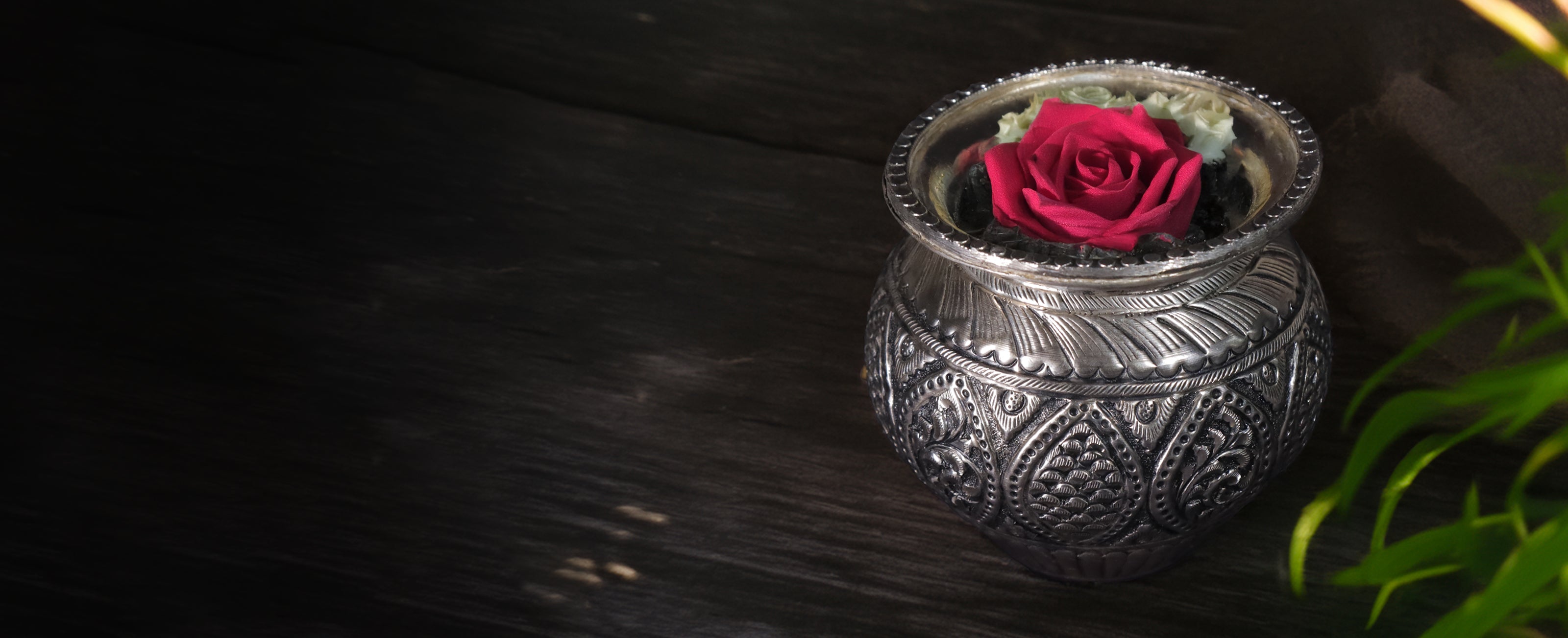 collection-banner-image